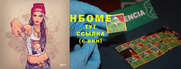 стаф Абаза