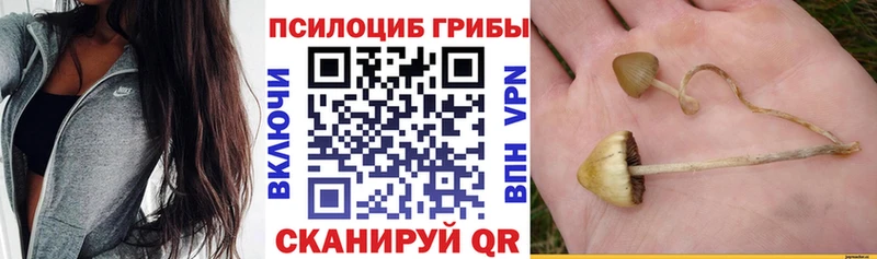 где продают наркотики  Кировград  Галлюциногенные грибы MAGIC MUSHROOMS 